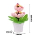 thumbnail image 3 of Easter Eggs Decoration Mini Indoor Potted Ornaments Holiday Theme Home Decoration Add Festive And Ideal Gift Choice, 3 of 6