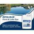 thumbnail image 4 of Crystal Blue Lake & Pond Colorant 00111 - 1 Gal Blue Pond Dye - 1 Acre, 4 of 7