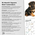 thumbnail image 5 of The Beauty of German Shepherd Puppies | 2024 12x24" Wall Calendar | StarGifts, 5 of 8