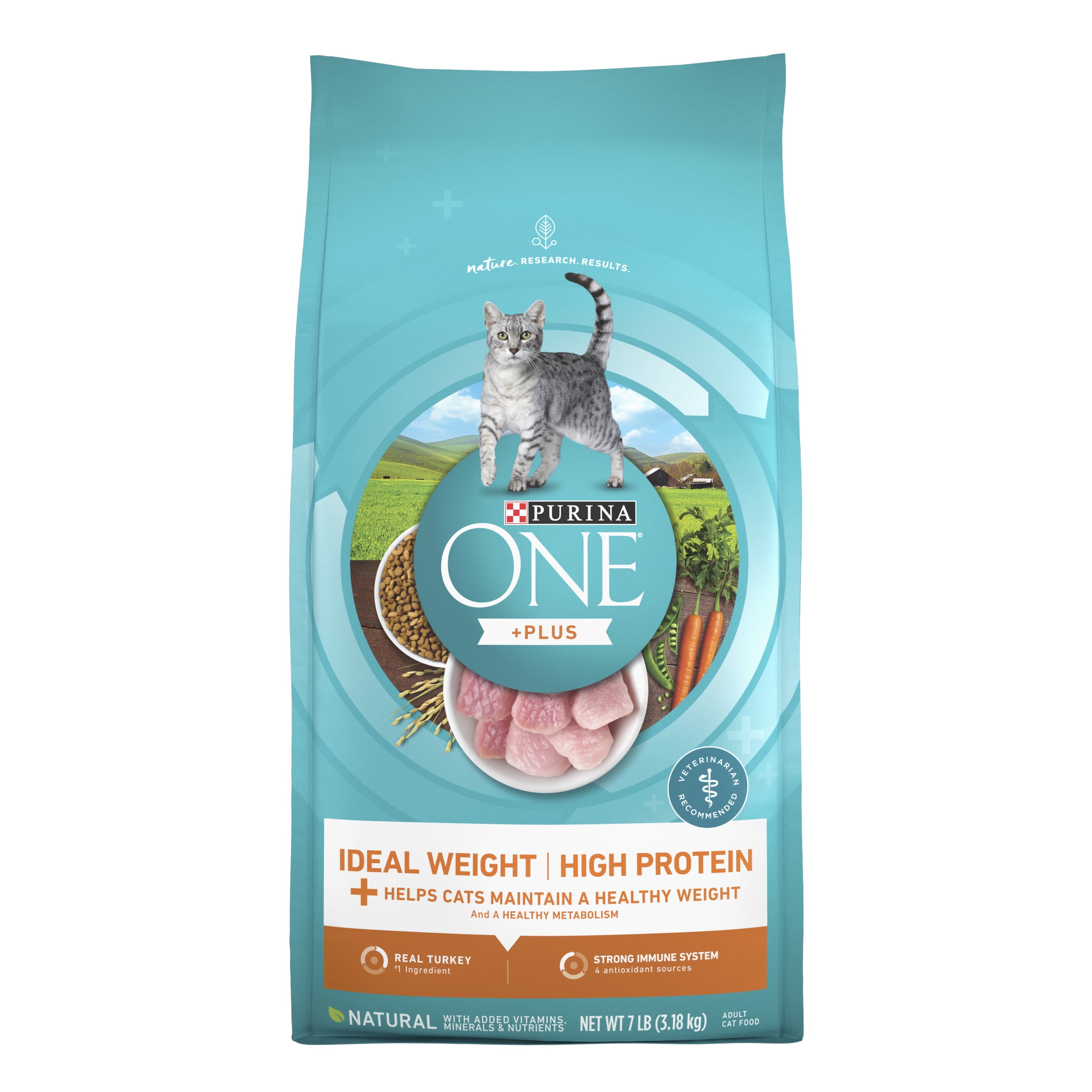 healthy weight of adult cat