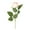 Champagne, variant on Simulation Rose Decorative Delicate DIY Non-fading No Withering No-watering Fresh-keeping Floral Arrangement Rose Fake Flower Wedding Decor