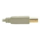 Eaton Tripp Lite Series B (m) USB 2.0 Beige A6 ft to B Cable (M/M), (1.83 M) - Câble USB - US vers USB Type B (M) - USB 2.0 - 6 Pi - Moulé - Beige – image 4 sur 5