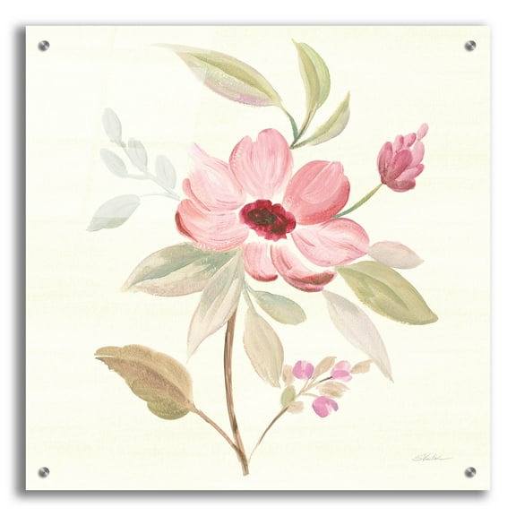 Epic Art 'Petals and Blossoms VI' by Silvia Vassileva, Acrylic Glass Wall Art, 24"x24"