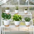 thumbnail image 2 of FIASON 6 Pack Self-Watering Plant Pots, White with Brown 5/5.5/6/6.5/7/8 Inch Planters with Watering Lip, Drainage Holes & Saucer for Indoor Outdoor Garden Plants, 2 of 10