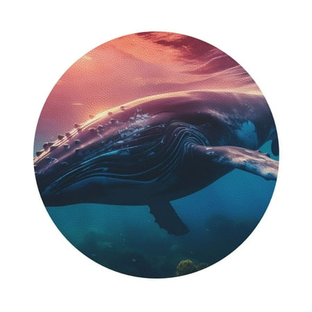 

Cauagu Sunshine Ocean Whale for Round Coaster Drink Coasters Set of 4 Leather Bar Beer Beverage Cup Mat for Drinks for Tabletop Protection & Coffee Table Decor