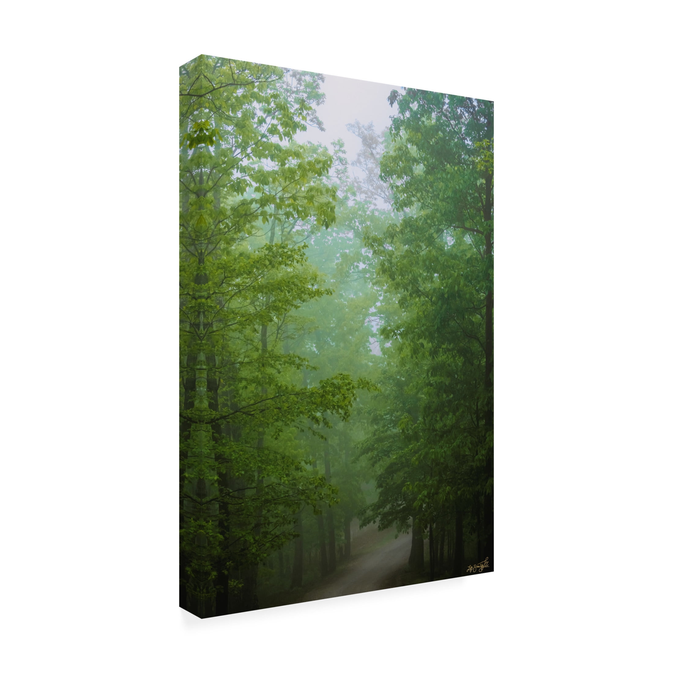 Canvas Wall Art - Life BeautifuLEE 'Green Glow Woods 2' Wall Art for Living Room, Bedroom, or Office Décor by Trademark Fine Art - 12 x 19 Inches