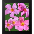 thumbnail image 2 of Tenoever, William 12x14 Black Modern Framed Museum Art Print Titled - Pink Flowers on Green, 2 of 5