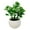 White, variant on Trayknick 1 Set Artificial Bonsai Decorative Non-fading Plastic Simulation Chinese Rose Plants for Decorating White