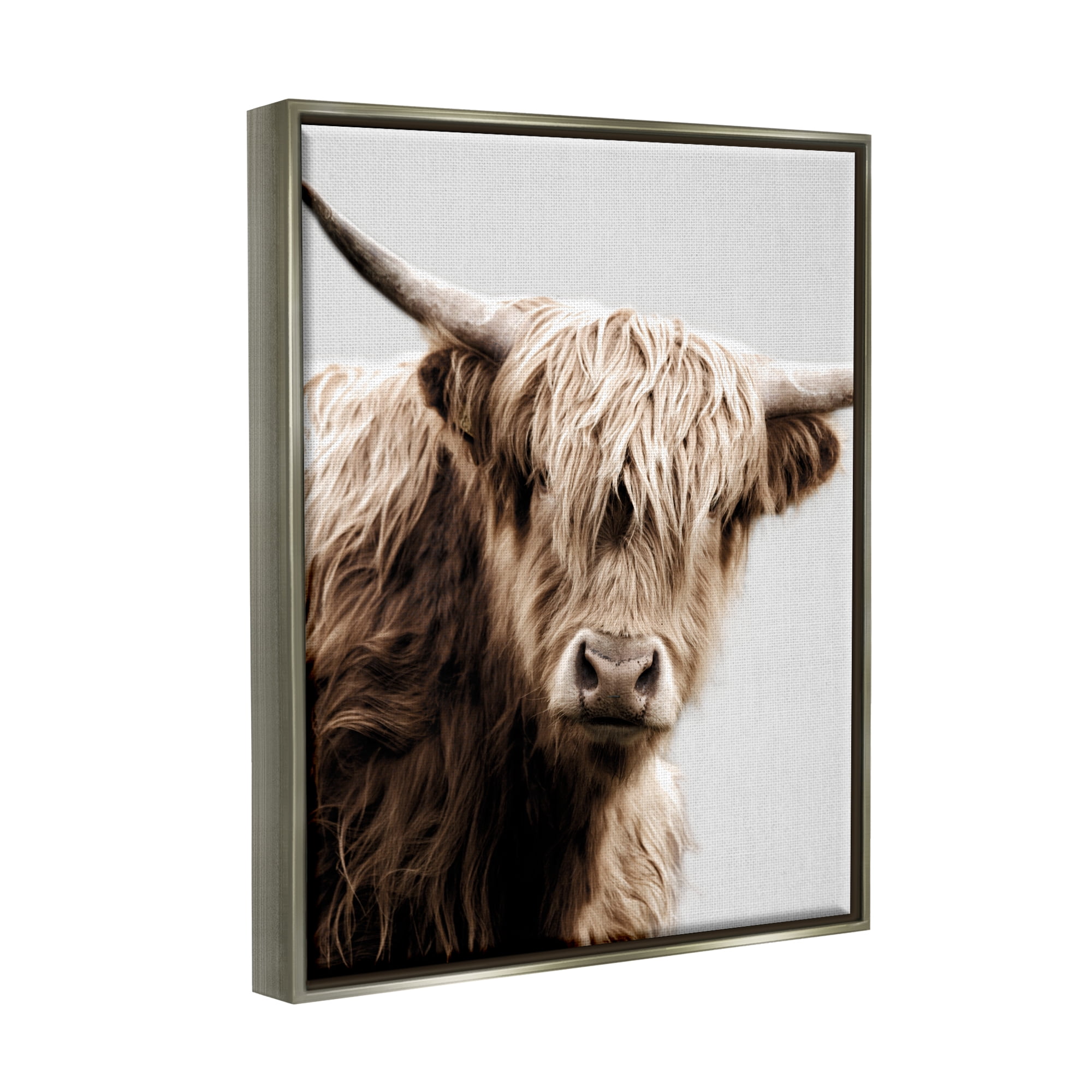 Stupell Industries Wooly Cattle Portrait Animals & Insects Photography Gray Floater Framed Canvas Art Print Wall Art, 25 x 31