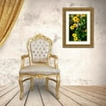thumbnail image 3 of Hausenflock, Alan 13x18 Gold Ornate Wood Framed with Double Matting Museum Art Print Titled - Summer Glory II, 3 of 4