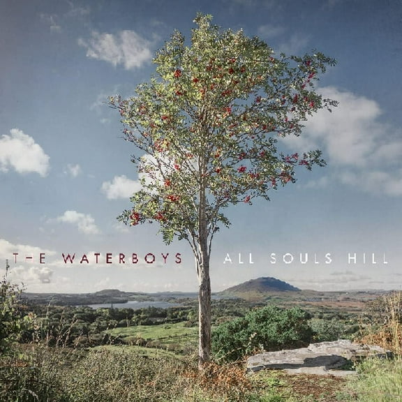 The Waterboys - All Souls Hill - Music & Performance - Vinyl