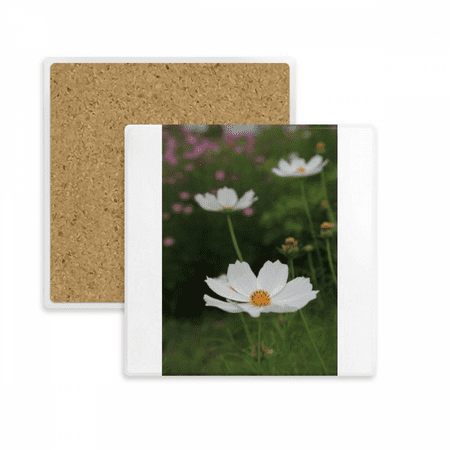 

Three White Cosmos Art Deco Fashion Coaster Cup Mat Mug Subplate Holder Insulation Stone