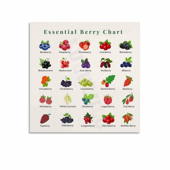 Berries Types Chart Guide Poster Health Kitchen Wall Art (1) Canvas Painting Wall Art Poster for Bedroom Living Room Decor