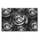 thumbnail image 1 of Cuadro Canva Listo Para Colgar Tipo Galería Rosas Bn 50X75 cm, 1 of 4