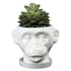 thumbnail image 1 of Forma De Cara De Animal, Maceta De Cerámica Irregular Para Jardín, Escultura, Adornos Artesanales, Maceta Para Decoración Del Hogar Advancent HA041308-01, 1 of 6