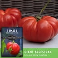 thumbnail image 4 of 5 Packs of Mortgage Lifter Tomato Seeds - Non-GMO Heirloom Full Sun Annual Vegetable, 4 of 7