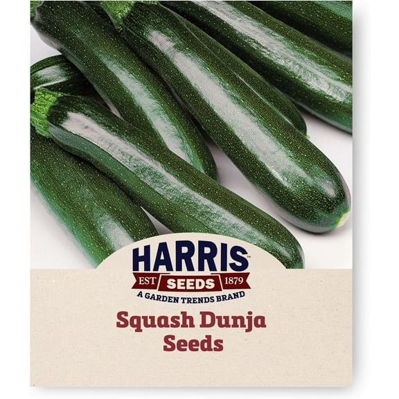 Harris Seeds - Organic Squash Seeds Dunja Variety Dark Green Fruits - 1,000 Seeds