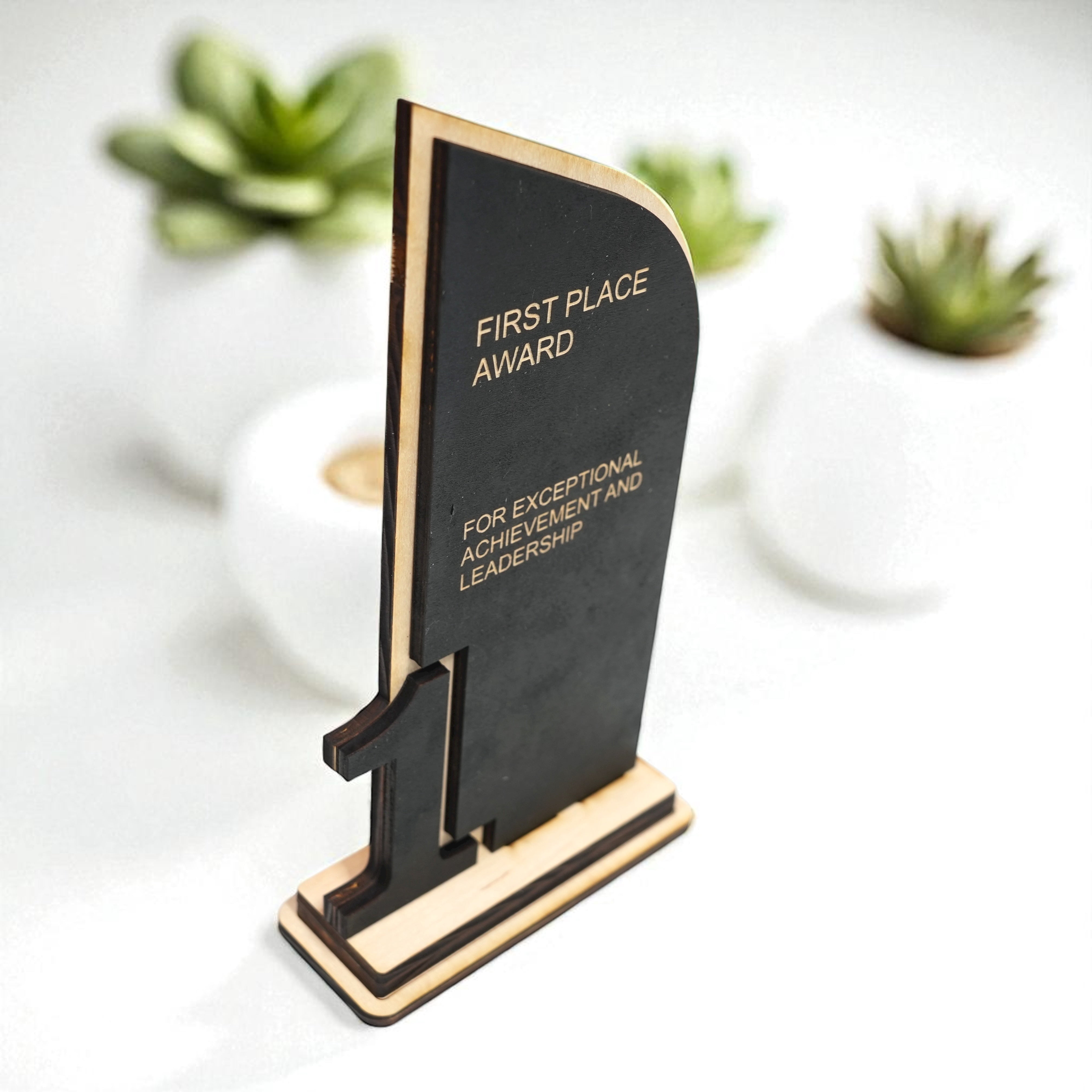 Award - Trophy Award 1st 2nd 3rd Place - 9x5 Inches