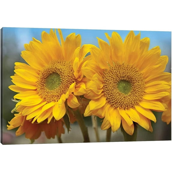 Sunflower Canvas Wall Art Yellow Plant Prints, Sunflower Wall Painting Gifts for Women Bedroom Decor, Modern Flowers Poster Framed Artwork for Bathroom Wall Decor Ready to Hang 12x18"