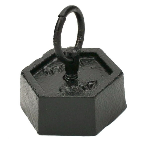 Iron Masses - Hexagonal with Lifting Ring - 200g - Eisco Labs