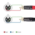 thumbnail image 3 of Cable Matters Dual XLR a RCA de 1,8 m, 3 of 5