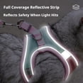 thumbnail image 6 of IFRINID Cat Harness and Leash Set, Adjustable Escape Resistant Walking Vest with Reflective Strips for Small Cats, 6 of 7
