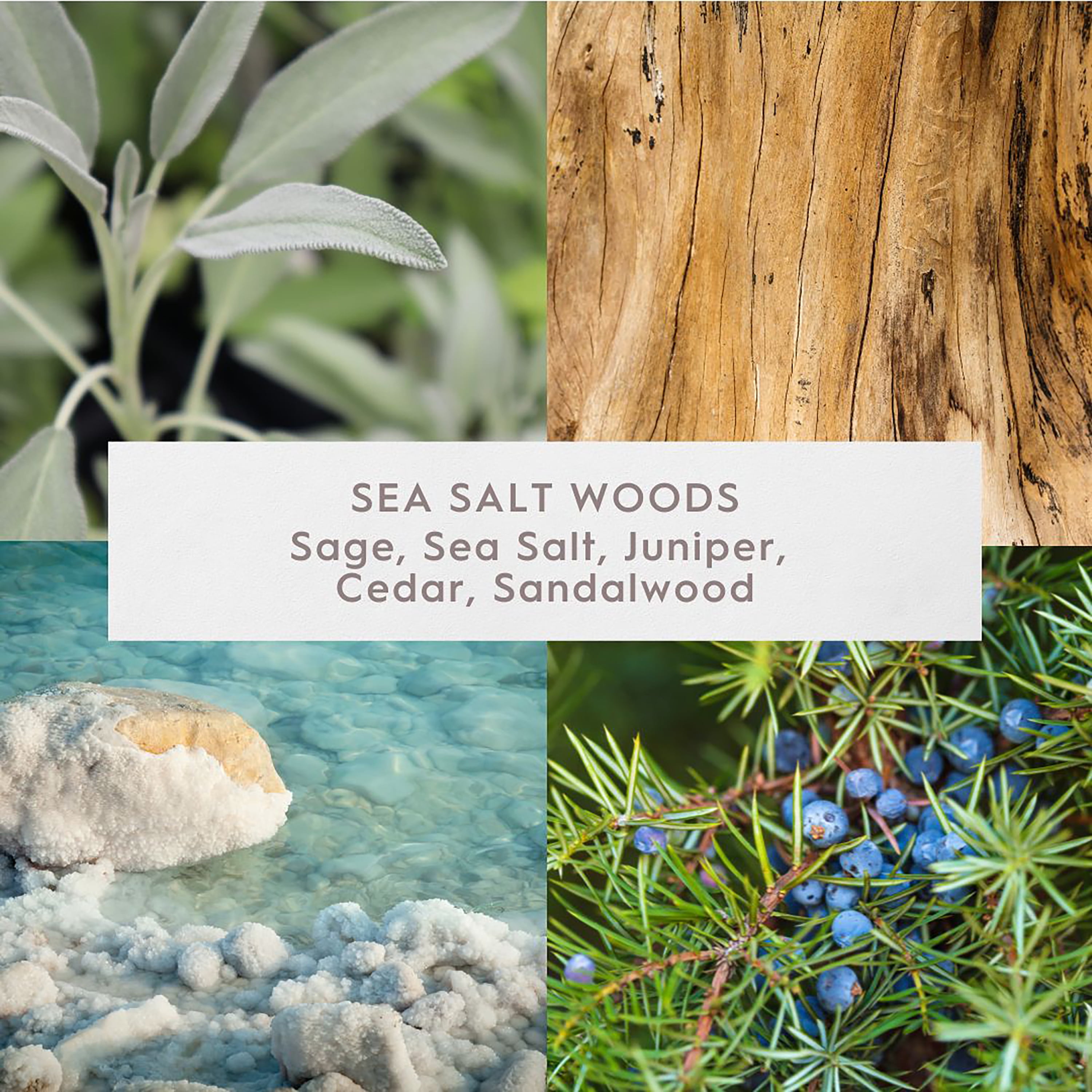 Better Homes & Gardens Fine Fragrance Collection, Sea Salt Woods Scented 2-Wick Jar Candle 16 oz.