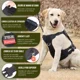 thumbnail image 4 of Pecheras Tactico Arnés Para Perro Con 4velcro Grande Mediano, 4 of 8