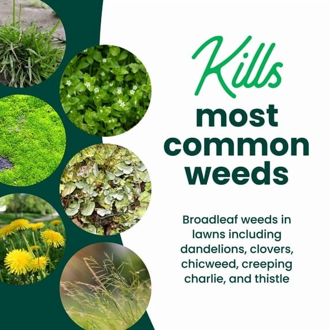 Sunday Dandelion Doom Lawn-Safe Weed Killer, Selective Herbicide, 224 sq ft, 1 Gal, 128 fl oz