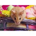 thumbnail image 1 of Taladro Diamante Pintura (DE5041) DIY Ronda Completa Lindo Hamster Rhinestone Craft (LD504) 30x40cm FLhrweasw Nuevo, 1 of 1