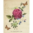 thumbnail image 3 of Greene, Taylor 20x24 Black Modern Framed Museum Art Print Titled - Rose Superb A, 3 of 5