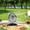 Black, variant on Roiihwy Camping Fan Portable Fan with Rechargeable Battery Powered, Desk Fan with 4 Speed Hanging Ear, Small Fan for Tent Rv Bed, Black