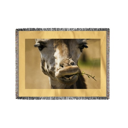 Chenille Giraffe - Giraffe Chewing - Lantern Press Photography (60x80 Woven Chenille Yarn Blanket)