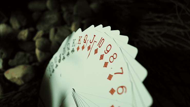 LE Bicycle National Parks (Great Smoky Mountains) Playing Cards by USPCC
