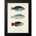 thumbnail image 2 of Vision Studio 18x24 Black Modern Framed Museum Art Print Titled - Antique Fish Trio III, 2 of 5