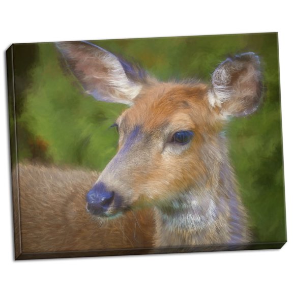 Gango Home Decor Contemporary Blacktail Deer II by Kathy Mahan (Ready to Hang); One 28x22in Hand-Stretched Canvas