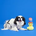 thumbnail image 5 of BARK Uncle Duck Super Chewer - Yankee Doodle Dog Toy, great for photo ops, XS-M dogs, 5 of 7