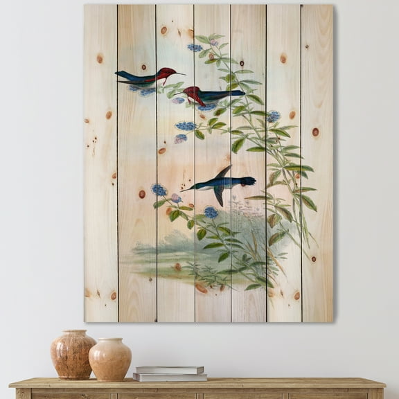 Designart 'Ancient Hummingbird II' Traditional Print on Natural Pine Wood