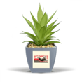 thumbnail image 1 of China Red Guide Education Fake Pineapple Flower Pot Vase Mini Decor, 1 of 3