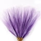 thumbnail image 1 of Hierba artificial de pampa pequeña, 30 unidades, 43 cm, color morado, 1 of 7