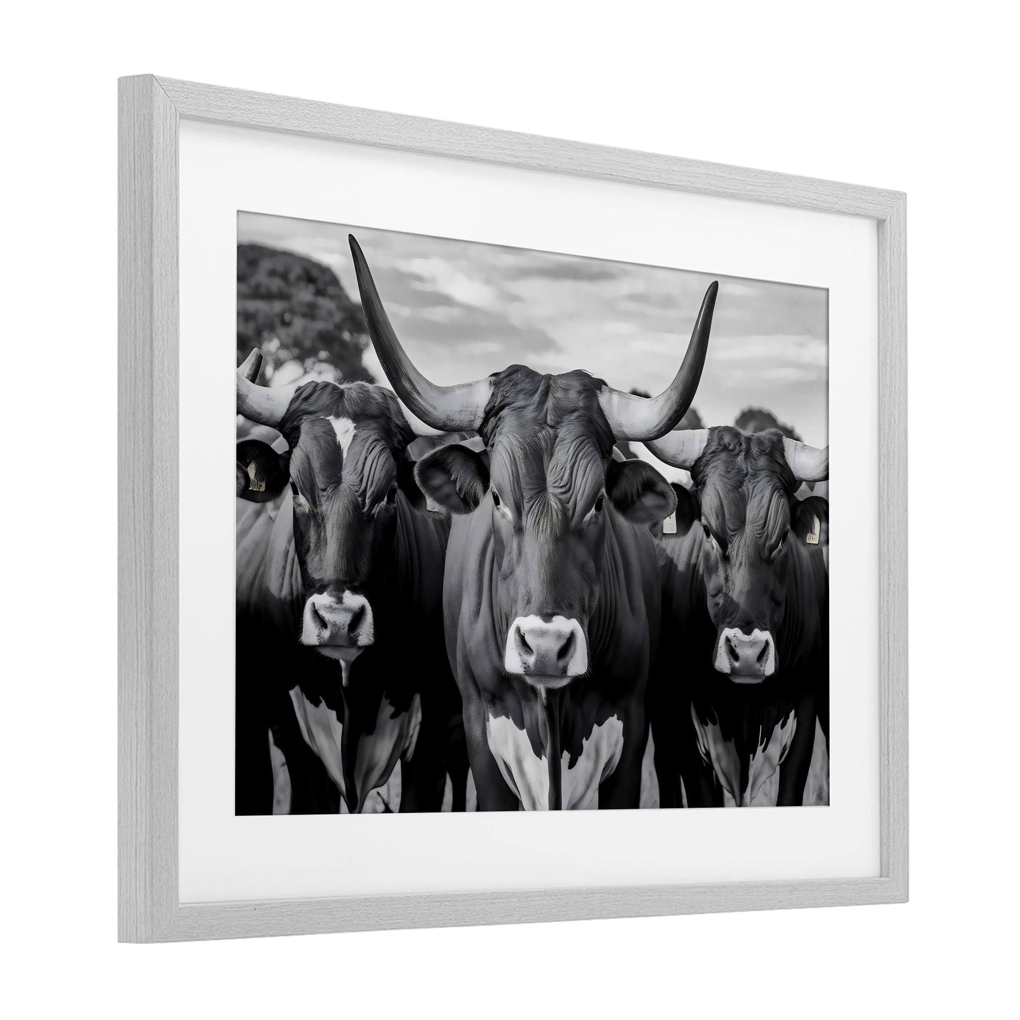 Stupell Industries Three Longhorns in a Row Gray Framed Print Under Glass, design by Creative Studio