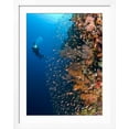 thumbnail image 2 of Art.com Diver With Light Next To Vertical Reef Formation, Pantar Island, Indonesia Photographic Print by Jones-Shimlock, White Frame Wall Art, 32" x 40", 2 of 4