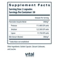 thumbnail image 2 of Vital Nutrients Pancreatin & Ox Bile Extract 500mg | Natural Digestive Enzymes for Women & Men | Supports Digestion of Protein, Fat, and Carbohydrates| Gluten, Dairy & Soy Free | 60 Capsules, 2 of 5