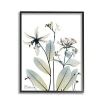Stupell Industries Minimal Plant Blossoms Botanical & Floral Photography Black Framed Art Print Wall Art, 11 x 14