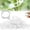 100pcs White, variant on Plant Support Clips, Plastic Garden Fixing Clips for Climbing Plants Tomato Grape Vines, Greenhouse Garden Clips to Keep Plants Upright & Healthy (100, White)