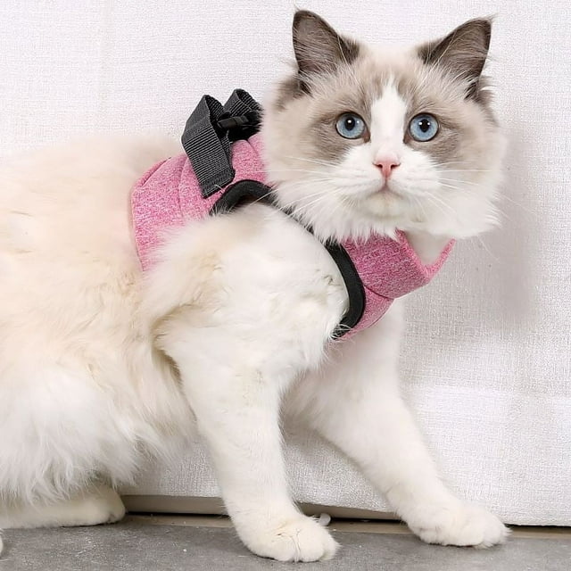 Harnais & Laisse Réglable pour Animaux de Compagnie Escape Proof Gilet en Mesh Souple Harnais Sangle Pectorale pour Chats Chiot Marche