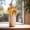 A, variant on Thanksgiving Floral Arrangement Fall Centerpiece Bouquet Flowers for Seasonal