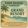 thumbnail image 3 of Paquete variado de velas con cera de soja derretida, 460 ml, 5 aromas, 3 of 7