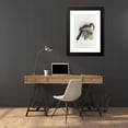 thumbnail image 4 of Daniel Giraud Elliot 17x24 Black Modern Framed Museum Art Print Titled - Trackus Monteiri (1882), 4 of 5