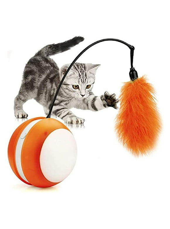 Interactive Cat Toys in Cat Toys